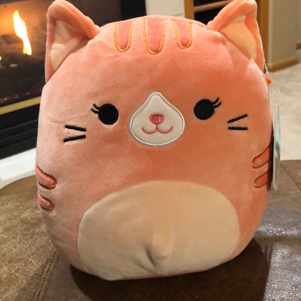 Orange cat squishmallow